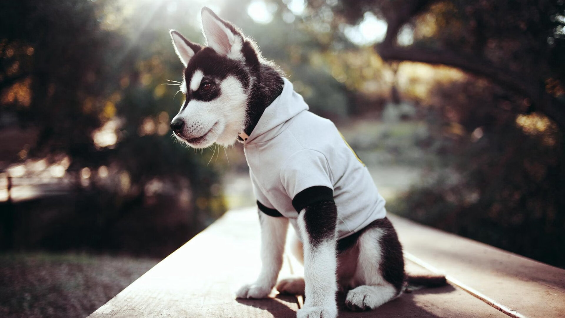 《英雄联盟》青训营：电竞新星的摇篮与残酷竞争，英雄联盟 青训