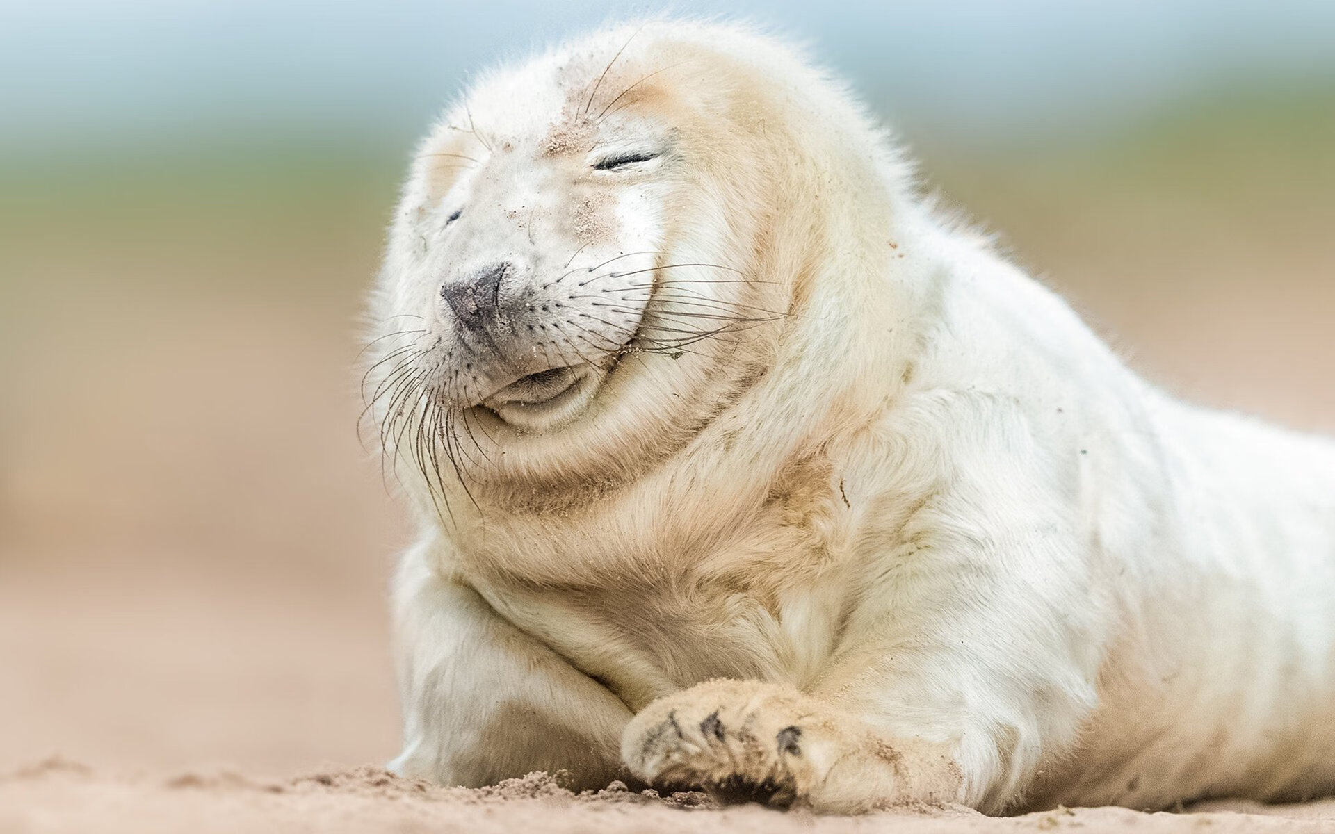 关键封盖：李磊封阻上海队最后投篮，锁定胜局！，李磊 上海