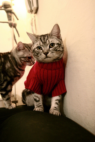 意甲激烈竞争，比分2-2，比赛亮点：多个关键断球和抢断，传球成功率高达89%