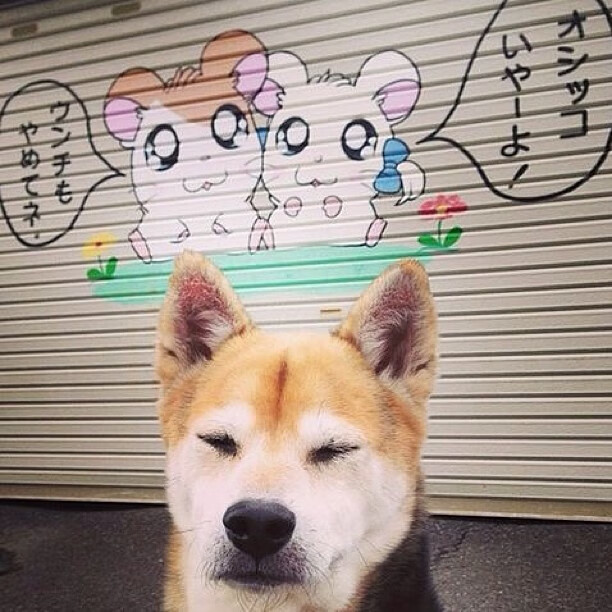 日本球员突破防线屡获佳绩,日本球员突破防线屡获佳绩的原因